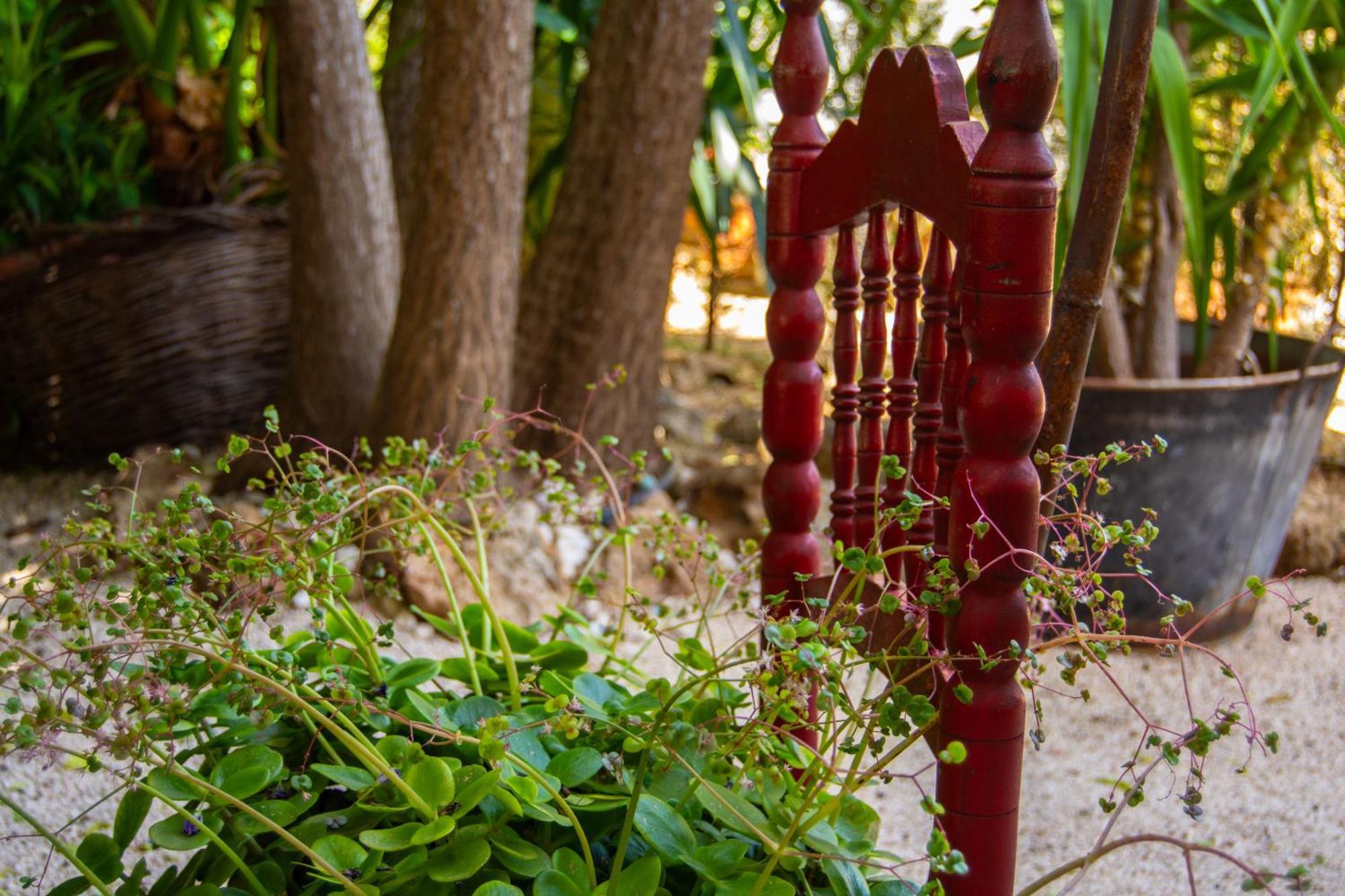 Alojamiento Rural Las Acacias Cabra Esterno foto